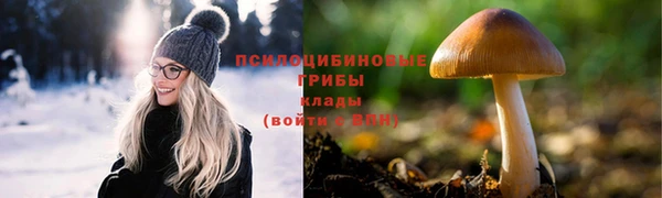 сатива Переславль-Залесский