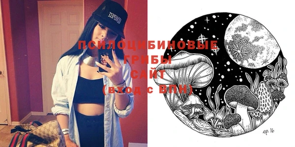 винт Осташков