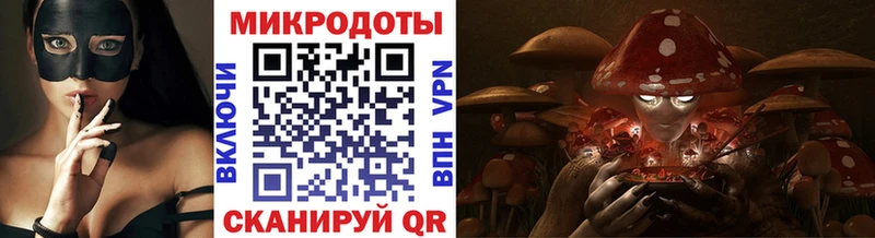 KRAKEN   Ачинск  Галлюциногенные грибы Magic Shrooms 