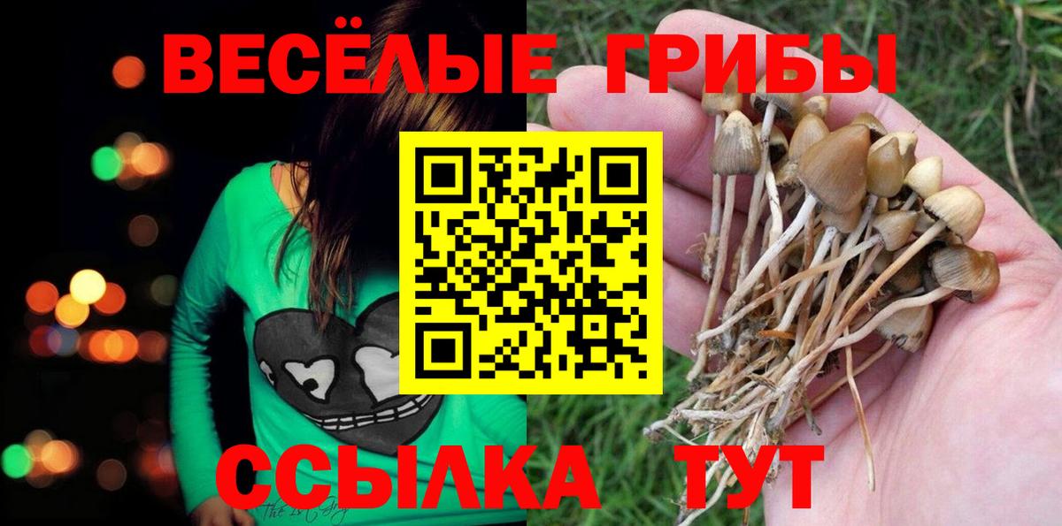 Псилоцибиновые грибы мухоморы  Ачинск  Псилоцибиновые грибы Psilocybine cubensis 