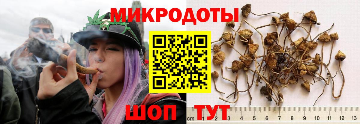 Псилоцибиновые грибы GOLDEN TEACHER  Вход с VPN  Ачинск 
